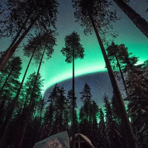 女人和男人三黄一片
